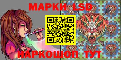 индика Заволжье