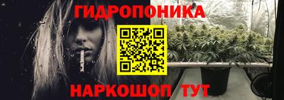 мдпв Дубна