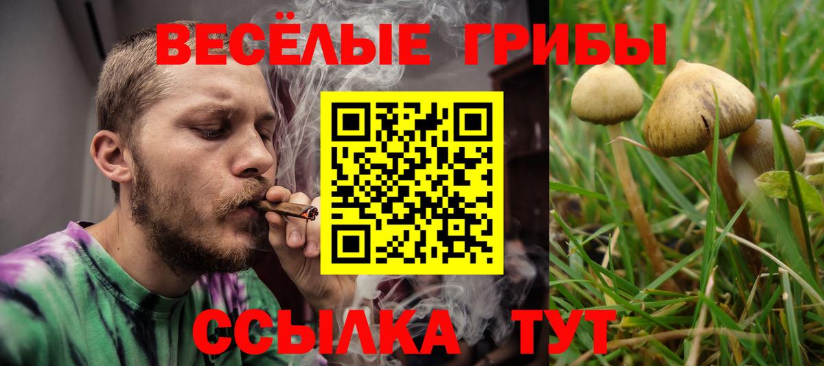 Галлюциногенные грибы мицелий Кыштым